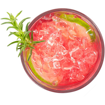 XO XOUIM1585NOP 15 Inch Built-In Ice Maker — thumbnail 15